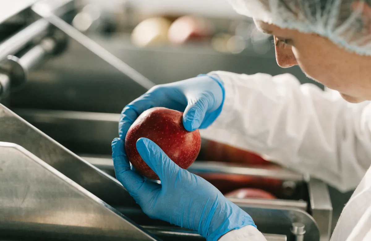 Quality and size inspection of fruit on the packing line
